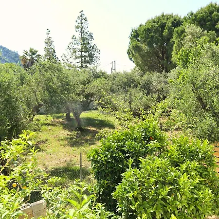 Aerino Gaitani
